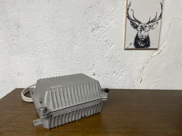 Lampe Coquillage